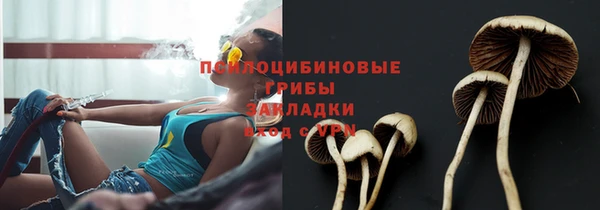 а пвп мука Каменногорск