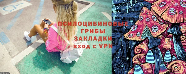 круглые Каменка