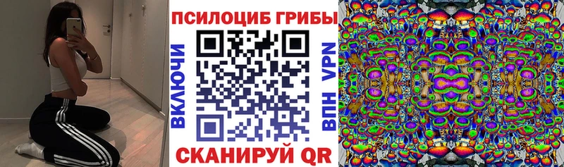 Галлюциногенные грибы Psilocybine cubensis  Купить закладки  Ковдор 